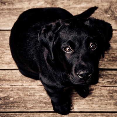 电话在线轰炸网页版