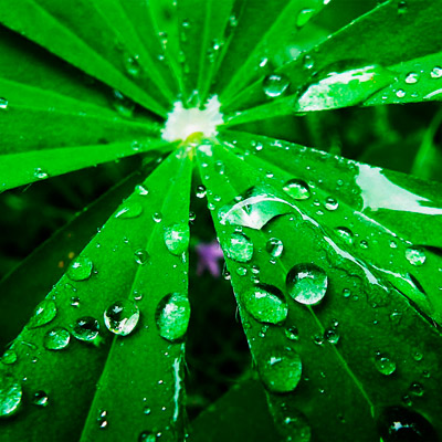 24小时轰炸对方的电话软件