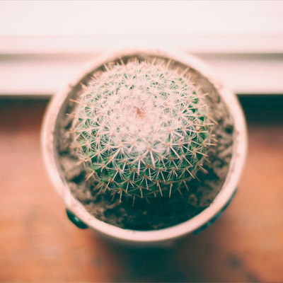 手机号网页在线轰炸源码